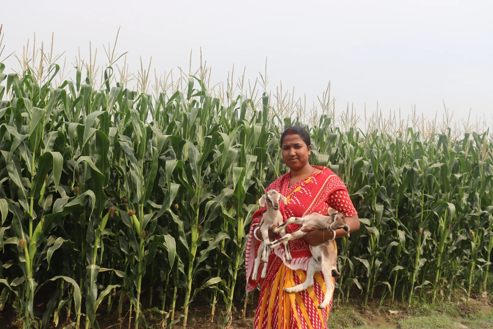 Jeevika participant with livestock beside a cultivated field