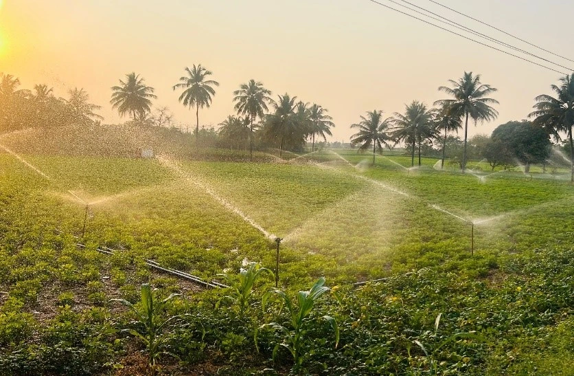 Irrigated green field under Jal-Jeevan-Hariyali Abhiyan